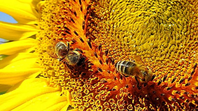 Csodálatos természet 03